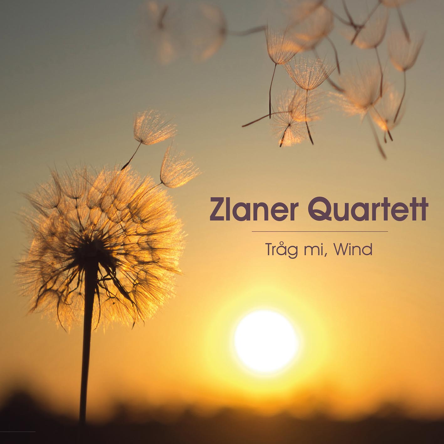 DRCD-2103 Zlaner Quartett "Tråg mi, Wind"